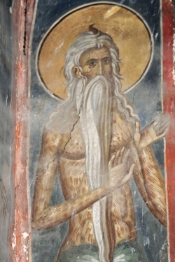 ღირსი ონოფრე დიდი (IV) და სხვა მეუდაბნოე მამანი: ღირსი ტიმოთე, იოანე, ანდრია, ირაკლემონე, თეოფილე (IV) - 12 ივნისი (25 ივნისი)