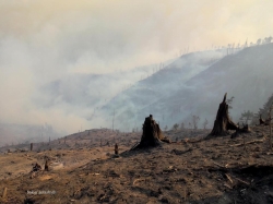 ასე გამოიყურება ბორჯომის ტყის ის უბნები, სადაც ცეცხლი ლოკალიზებულია